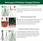 2 Pack Hanging Planters Set,10 Inch Indoor Outdoor Hanging Plant Pot Basket,Hanging Flower Pot with Drainage Hole with 3 Hooks for Garden Home… (Black Hanger Black Planters)