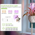 Grow Lights for Indoor Plants: Replacement Grow Light for Macrame Plant Hanger Full Spectrum Plant Light, with 3/9/12H Auto Timer Switch, 3 Colors,10 Dimming（GrowPro Spectrum）