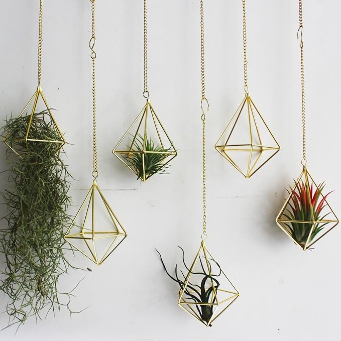 Air Plants Live Holders 6 Pcs Glod Diamond Hanging Planter Small Air Plant Holders Unique with Chains Air Ferns Tillandsia Display for Indoor