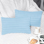 2 Pack 12x20 Pillow Cover Velvet Pillow Covers, Faux Fur Oblong Throw Pillow Covers for Living Room Decorations Throw Pillow Case, Throw Pillow Cover Cushion Cover for Sofa Bedroom Car, Light Blue