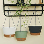 ZMTECH 2 Pack 8 Inch Hanging Planters for Indoor Plants, Modern Green Hanging Planter with Clear Water Window & Removable Tray, Decorative Plant Hanger Indoor for Home & Patio
