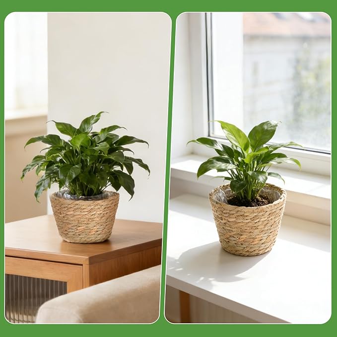 10 PCS Seagrass Plant Baskets with Plastic Liners, Woven Planter Basket Set for Indoor and Outdoor Plants, Wicker Flower Pot Covers Plant Container sand Storage Baskets for Home and Farmhouse Decor