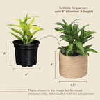 Jute Planter Basket-Woven Jute Rope Covers for Decorating Indoor/Outdoor Succulents, Small Plant Pots-Set of 3-Multi-Purpose Storage Bins 4.5 Inches -Modern Style Decor -Natural Jute