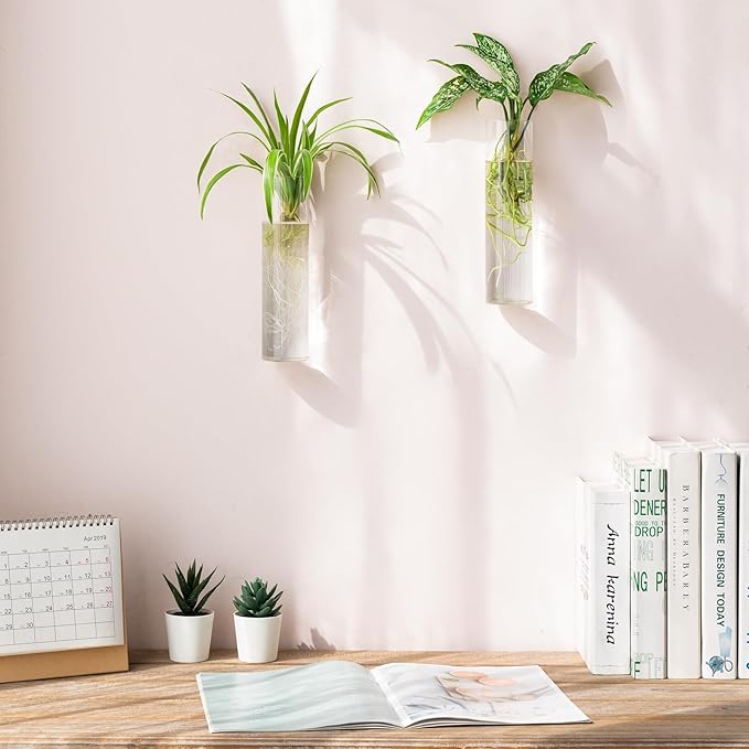 Mkono Propagation Station Wall Planter Hanging Glass Tubes Flower Vase for Hydroponics Plants, Bathroom, Home Office Living Room Decor Gift, Cylinder Set of 2