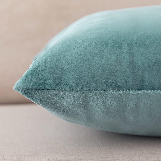 NiNi ALL Decorative Throw Pillow Covers Pack of 2, Velvet Cushion Case for Couch Bedroom Living Room Outdoor, Pillow Covers 18x18 Inch（45 x 45 cm） Light Blue