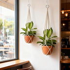 2Pcs Macrame Plant Hanger Plant Hanger Indoor Hanging Planters for Indoor Plants Decorative Modern Style Hand Knotted Woven Cotton Rope for Boho Home Decor No Tassels