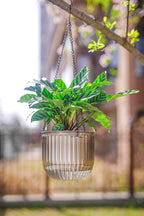 Melphoe 2 Pack Self Watering Hanging Planters Indoor Flower Pots, 6.5 Inch Outdoor Hanging Plant Basket, Hanger with 3Hooks Drainage Holes for Garden Home (Emerald + Gray)