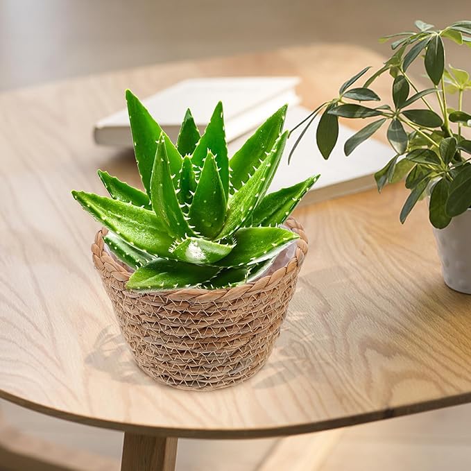 Veemoon 2pcs Wicker Planter Basket, Rustic Straw Woven Flower Basket Arrangement Flower for Plants Laundry Bin Storage Woven Plant Pot Hanging Seaweed Girl Toddler Hanging Seaweed 7. 07x7. 07x5. 89in