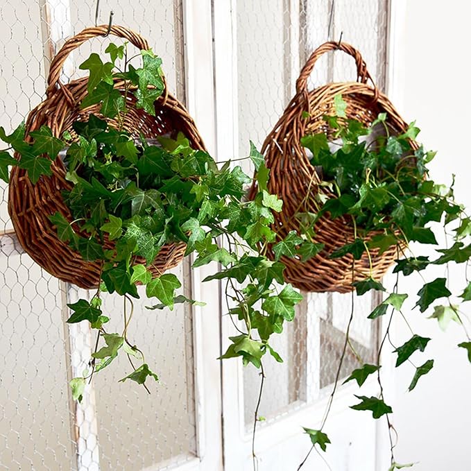 Wall Hanging Flower Basket, Handmade Wicker Hanging Basket for Plant Wall Mount Rattan Chlorophytum Comosum Hanging Basket for Front Door, Home, Garden. (M)