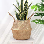 Casaphoria Woven Seagrass Belly Basket for Storage Plant Pot Indoor,Decorative Sturdy and Durable Natural Material Sea Grass Baskets with Handles,Seaweed Round Basket for Organizing(Large)