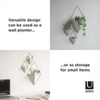 Umbra Trigg Hanging Planter Vase Wall Decor, Set of 2 Pots Containers for Succulents, Cactus, Faux Plants, and More, Small, White/Brass