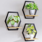 Modern Black Hexagon Wall Planters with Solid Wood Shelves Set of 3 Geometric Floating Wall Decor for Indoor Plants, Stylish Wall Mounted Display for Succulents & Small Plants