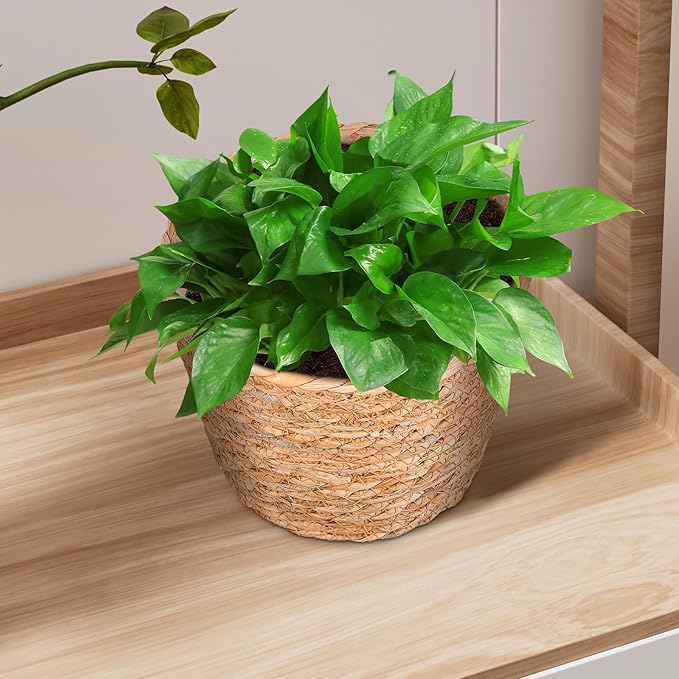 Veemoon 2pcs Wicker Planter Basket, Rustic Straw Woven Flower Basket Arrangement Flower for Plants Laundry Bin Storage Woven Plant Pot Hanging Seaweed Girl Toddler Hanging Seaweed 5. 11x5. 11x3. 54in