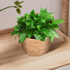 Veemoon 2pcs Wicker Planter Basket, Rustic Straw Woven Flower Basket Arrangement Flower for Plants Laundry Bin Storage Woven Plant Pot Hanging Seaweed Girl Toddler Hanging Seaweed 5. 11x5. 11x3. 54in