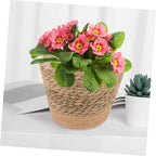 Straw Woven Plant Basket with Flat Base Handmade Flower Pot Holder for Indoor Home Decor Living Bedroom Office Use Natural Boho Style Woven Design