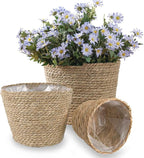 Vintage Decor Seagrass Planter Hand Woven Straw Flower Pot Farmhouse Plant Basket with Plastic Liners Rustic Plant Containers Succulent Pot for Indoor Outdoor Room Decor Home Decor