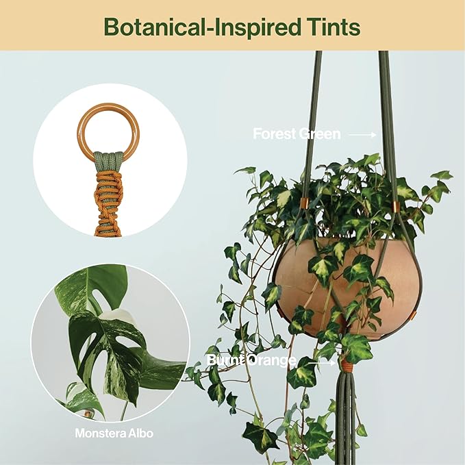 2 Packs Macrame Plant Hanger Colored Braided Polyester Rope Outdoor Indoor Adjustable Hanging Planter for up to 10 Inch Plant Pot Modern Boho Home Decor (Forest Green/Burnt Orange)
