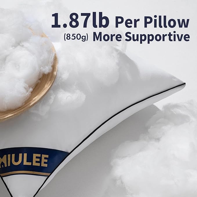 MIULEE 20x20 Pillow Inserts Set of 4 Throw Pillows Premium Down Alternative Pillow Inserts Square Decorative Pillow Stuffer for Sofa, Couch (20x20 inch, Set of 4)
