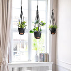 Mkono Hanging Planters, Macrame Plant Hangers with Self Watering Plant Pots Indoor Set of 3 Hanging Baskets Flower Pot Holders with Hooks No Tassels 3 Different Size for Boho Home Decor