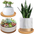 3 Pack Bamboo Saucer, 6 Inch Plant Saucer, 5" Cactus Plant Tray, Round Bamboo Tray for Modern Ceramic Flower Pot, Planter Pot, Cup Holder, Spoon Holder, Kitchen Utensil Rest