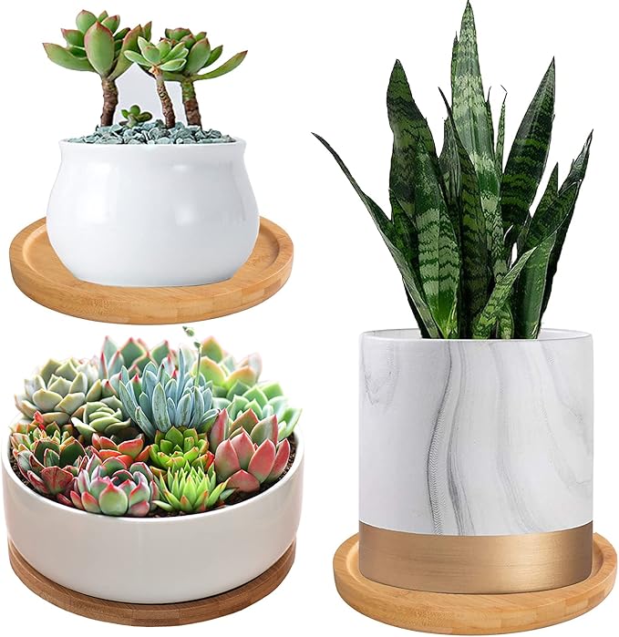 3 Pack Bamboo Saucer, 6 Inch Plant Saucer, 5" Cactus Plant Tray, Round Bamboo Tray for Modern Ceramic Flower Pot, Planter Pot, Cup Holder, Spoon Holder, Kitchen Utensil Rest