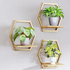 Modern Golden Hexagon Wall Planters with Solid Wood Shelves Set of 3 Geometric Floating Wall Decor for Indoor Plants, Stylish Wall Mounted Display for Succulents & Small Plants