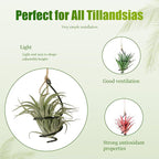 6 Pack Hanging Air Plant Holders - Adjustable Rust-Resistant Iron Rings with Low-Tangle Jute Ropes for Tillandsia, Succulents, Home & Office Decor