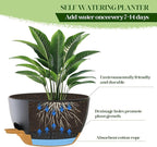 2 Pack 10 Inch Self Watering Hanging Planters for Indoor Plants, Large Black Brown Plastic Hanging Pots with Chains for Outdoor Patio Garden Home Decor (Black Brown)