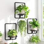 iDavosic.ly Wall Plant Picture Frame Holder Set of 3 for Indoor, Metal Stand with Hanging Hooks, Floating Flower Display Decor, Space Saving & Easy to Assemble (Pots/Chains/Plants Not Included)
