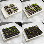 5-Tier Seed Starter Trays Plant Stand, with Bottom-Watering Design–Shelf for Indoor Outdoor Seedling Sprouting Greenhouse, Space-Saving for Small Cell Trays & Nursery Pots, White