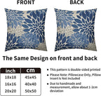 Light Blue Grey Gray Pillow Covers 24X24 Inch Set of 2, Dahlia Flower Spring Summer Floral Cream Decorative Throw Pillow Covers Outdoor Modern Farmhouse Cushion Case for Home Couch Sofa Bed Decor