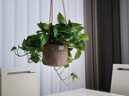 Large Waxed Canvas Handmade Hanging Planter for Indoor/Outdoor Plants, Hanging Basket Plant Holder Stone Gray with Hook