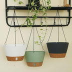 ZMTECH 2 Pack 10 Inch Hanging Planters for Indoor Plants, Modern White Hanging Planter with Visible Water Level Window & Metal Chain, Decorative Plant Hanger Indoor for Spring Balcony Decor