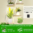 Plant Stand Shelf Rack Indoor with 8 Built in Grow Light, 10 Tiered 65" Tall White Large Lighted Half Moon Curved Plant Stand for Indoor Growing, 2 Pack Arch Sturdy High Herb Shelving