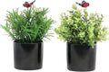 7" H Fake Plants Indoor 2 Pack Small Artificial Plants,Topiary Greenery Mini Potted Plants for House Office Tabletop Decoration
