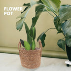 Cabilock Seagrass Planter Basket Wicker Flower Pot Straw Flowerpot for Indoor Plants 9.8 H X 9.8 W Decorative Boho Style Planter for Living Room Patio Garden