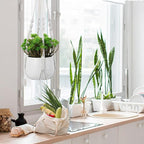 Macrame Plant Hangers, Modern Macrame Plant Hanger, Cotton Rope Hanging Planter for Indoor/Outdoor Balcony Home Decor (Planters/Plants Excluded)