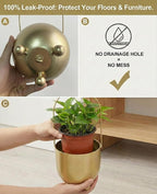 AceList Gold Hanging Planters for Indoor Plants, Set of 2-4.5 inch Metal Plant Hangers from Ceiling or Wall, Modern Boho Window Flower Pots, Pothos, Ivy - No Drainage Hole