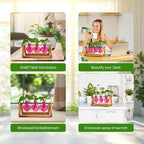XXXFLOWER Plant Terrarium Propagation Stations Unique Gifts for Women Wife Mom Plant Lovers 3 Heart Shaped Vases for Hydroponics Home Garden Office Decor(Plants NOT Included)