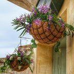 Coco Liners for Planters - 4 Pack 10 Inch Round Hanging Basket Liners, 100% Natural Coconut Fiber Replacement Liners for Hanging Baskets Planters Flowers, Plants, Vegetables (10'' Pack of 4)