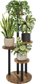 Bamworld Plant Tables Indoor Corner Plant Stand Tall Metal Wood Plant Shelf Outdoor Indoor Plant Table Rack 5 Tier Tier Plant Stand Garden Accessories for Living Room Balcony Patio