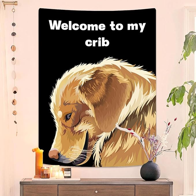 Jhdstore Funny Tapestries Welcome To My Crib Flag Funny Tapestry 3x4Ft Indoor Outdoor Wall Art Tapestry for Bedroom Teens Room Decoration Living Room Bedroom Decorations Cool Stuff for Your Room
