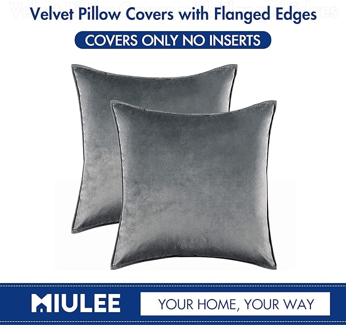 MIULEE Dark Grey Velvet Throw Pillow Covers 20x20 Soft Decorative Solid Square Cushion Cases Pack of 2 Modern Luxury Home Decor for Couch, Sofa, Bedroom