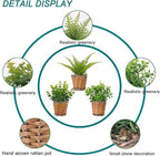 Small Fake Plants, 3 Pack Mini Potted Artificial Fern, Eucalyptus, Aglaia Odorata Plant in Rattan Pots, for Farmhouse, Home Decor, Office, Bathroom, Desk, Indoor & Outdoor
