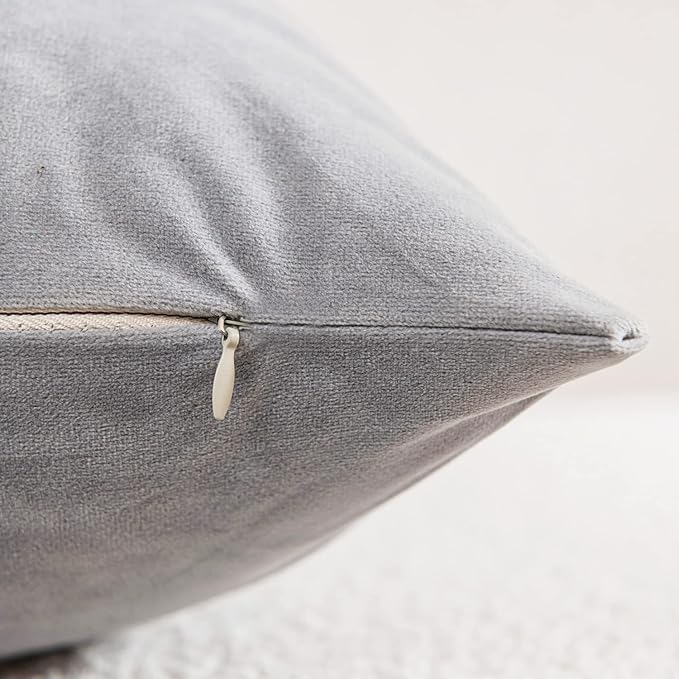 Lumbar Pillow Covers 12x20 Light-Grey: Pack of 2 Cozy Soft Velvet Rectangular Modern Luxury Decorative Throw Pillow Cases for Sofa Couch Living Room Bed Home Decor