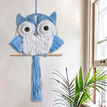 ACEDSGN Macrame Owl Wall Hanging Boho Hippy Decor, Handmade Tapestry Fiber Art Wall Decor for Nursery Bedroom Living Room, Sustainable Gift for Owl Lovers & Nature Fans