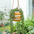 Hanging Ceramic Planter 5 Inch Cute Bee Plant Pots Indoor Outdoor Yellow Planter Flower Pot Succulent Plant Pot Ceramic Mid-Century