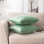 NiNi ALL Decorative Throw Pillow Covers Pack of 2, Velvet Cushion Case for Couch Bedroom Living Room Outdoor, Pillow Covers 20x20 Inch（50 x 50 cm） Sage Green
