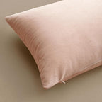 MIULEE Velvet Throw Pillow Covers 20x20 Inch, Pack of 2 - Pink, Super Soft Decorative Square Cushion Cases Modern Luxury Valentines Spring Home Decor for Sofa,Couch,Bed,Chair