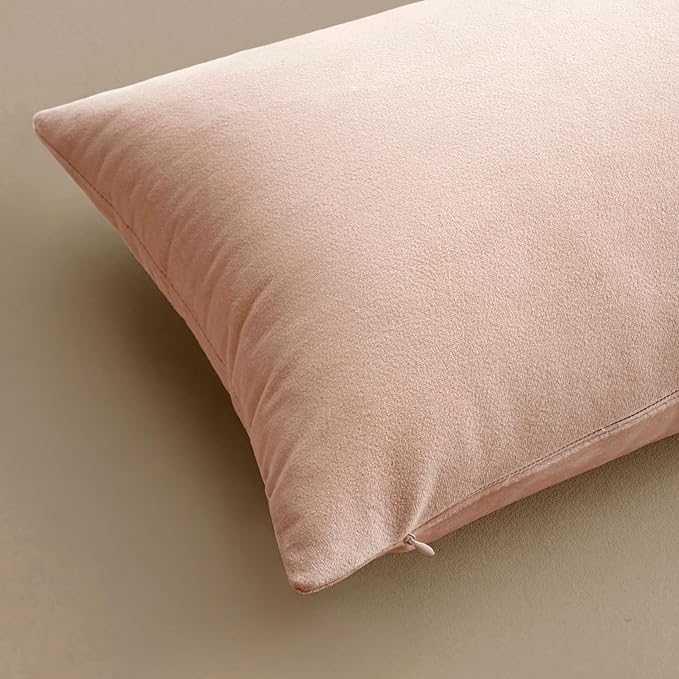 MIULEE Velvet Throw Pillow Covers 20x20 Inch, Pack of 2 - Pink, Super Soft Decorative Square Cushion Cases Modern Luxury Valentines Spring Home Decor for Sofa,Couch,Bed,Chair